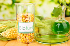 Troon biofuel availability