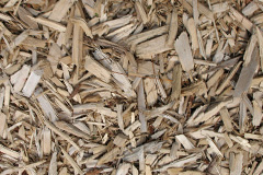 biomass boilers Troon